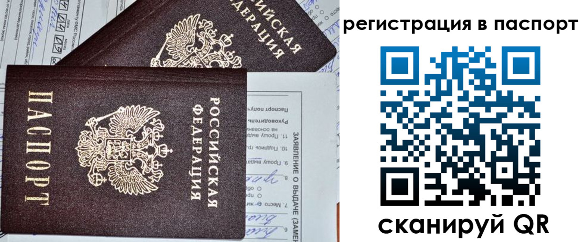 прописка законно в Большом Камне